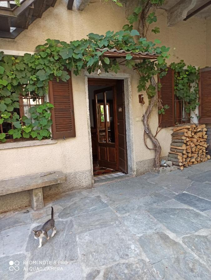 Casa Olmi Hotel Castiglione d'Intelvi Ngoại thất bức ảnh